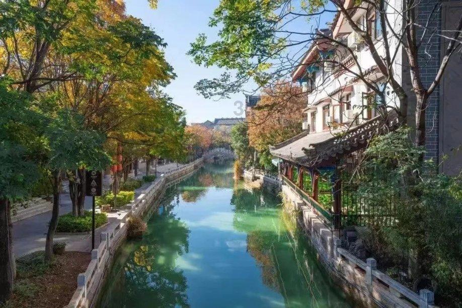照顾小兔宝宝